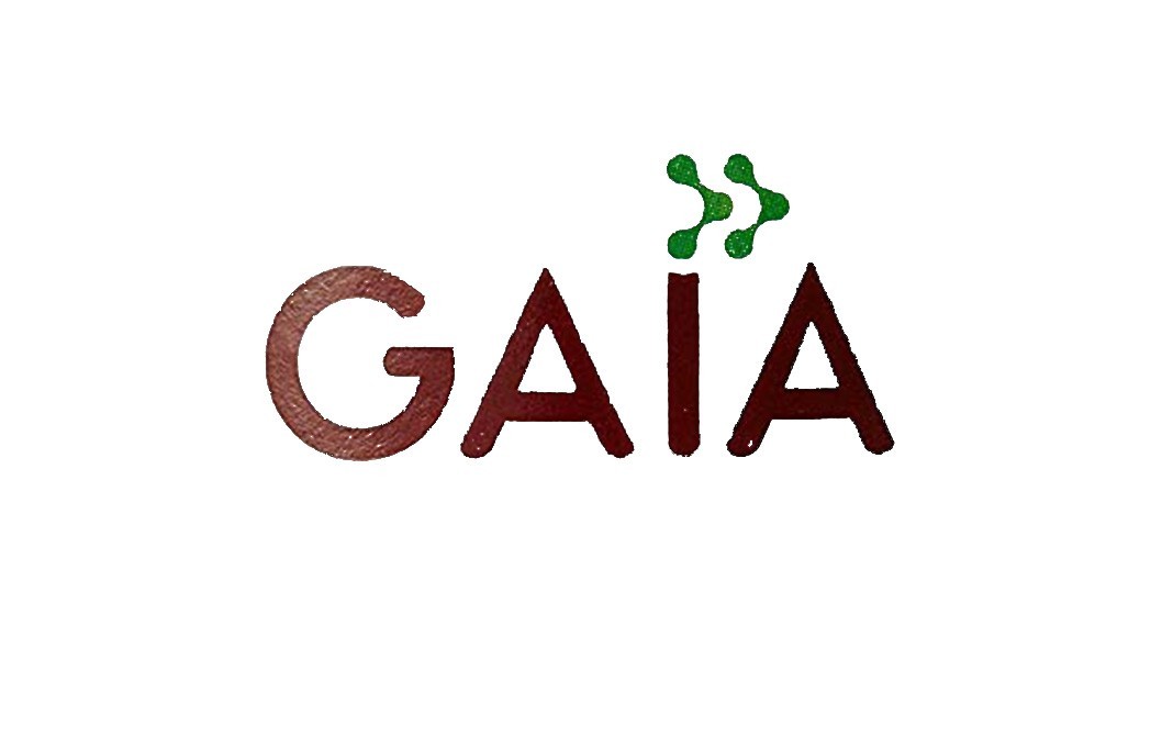 Gaia Green Tea + Mint    Box  25 pcs